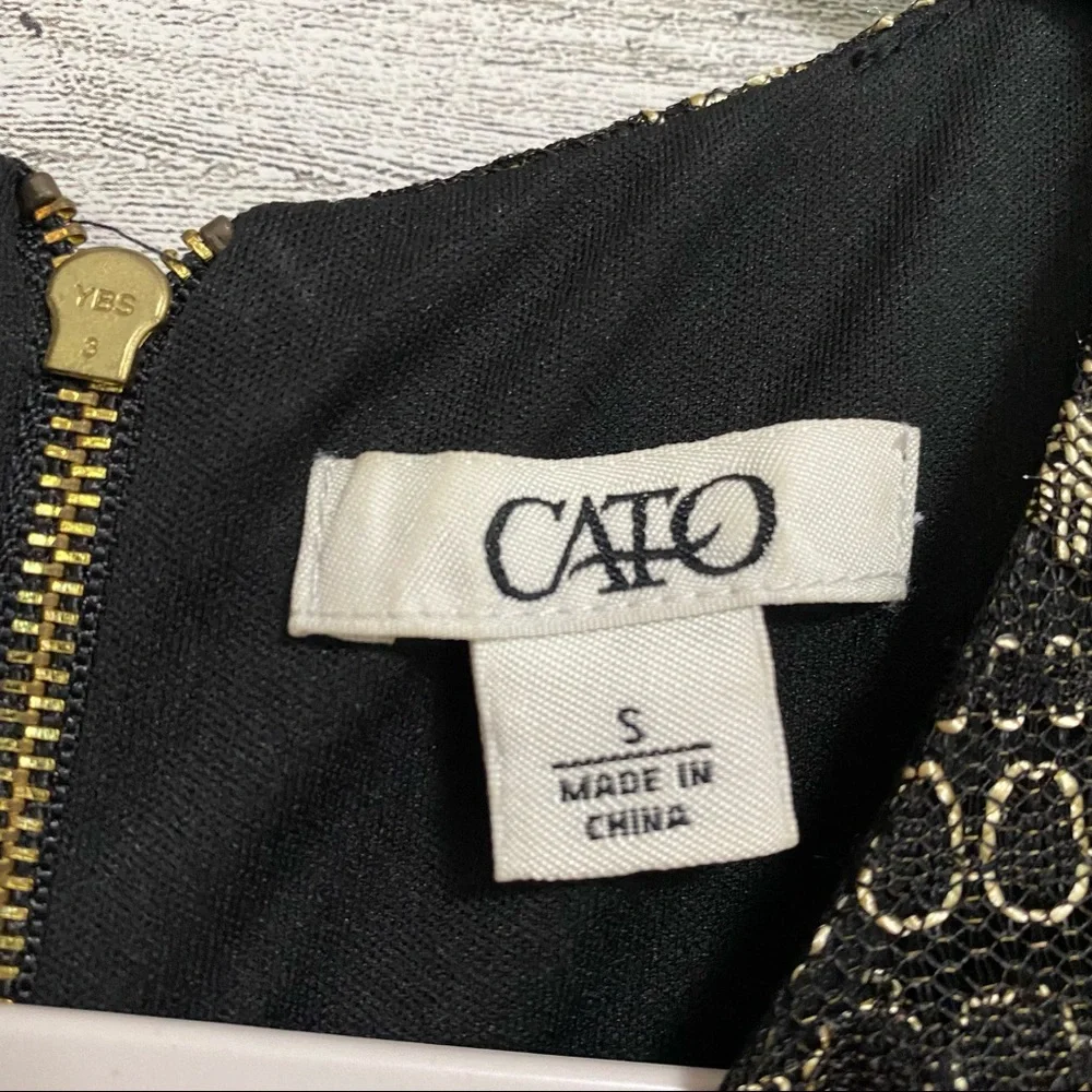 Cato lace form fitting dress - Picture 7 of 7